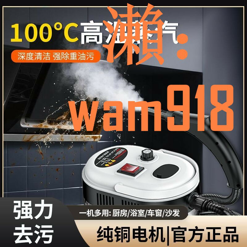 】德國高溫高壓蒸汽清洗機汽車空調廚房油煙機高壓家政用清潔神器