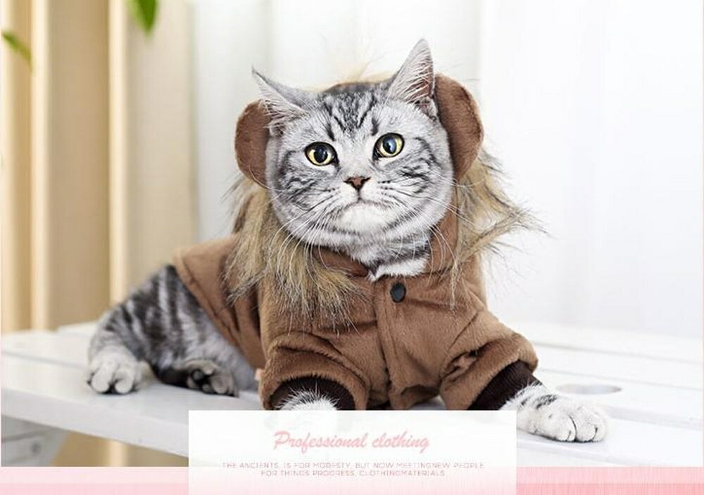 寵物冬衣 貓咪衣服小貓幼貓美短裝母貓保暖棉衣外仿毛絨獅子裝寵物衣服 瑪麗蘇