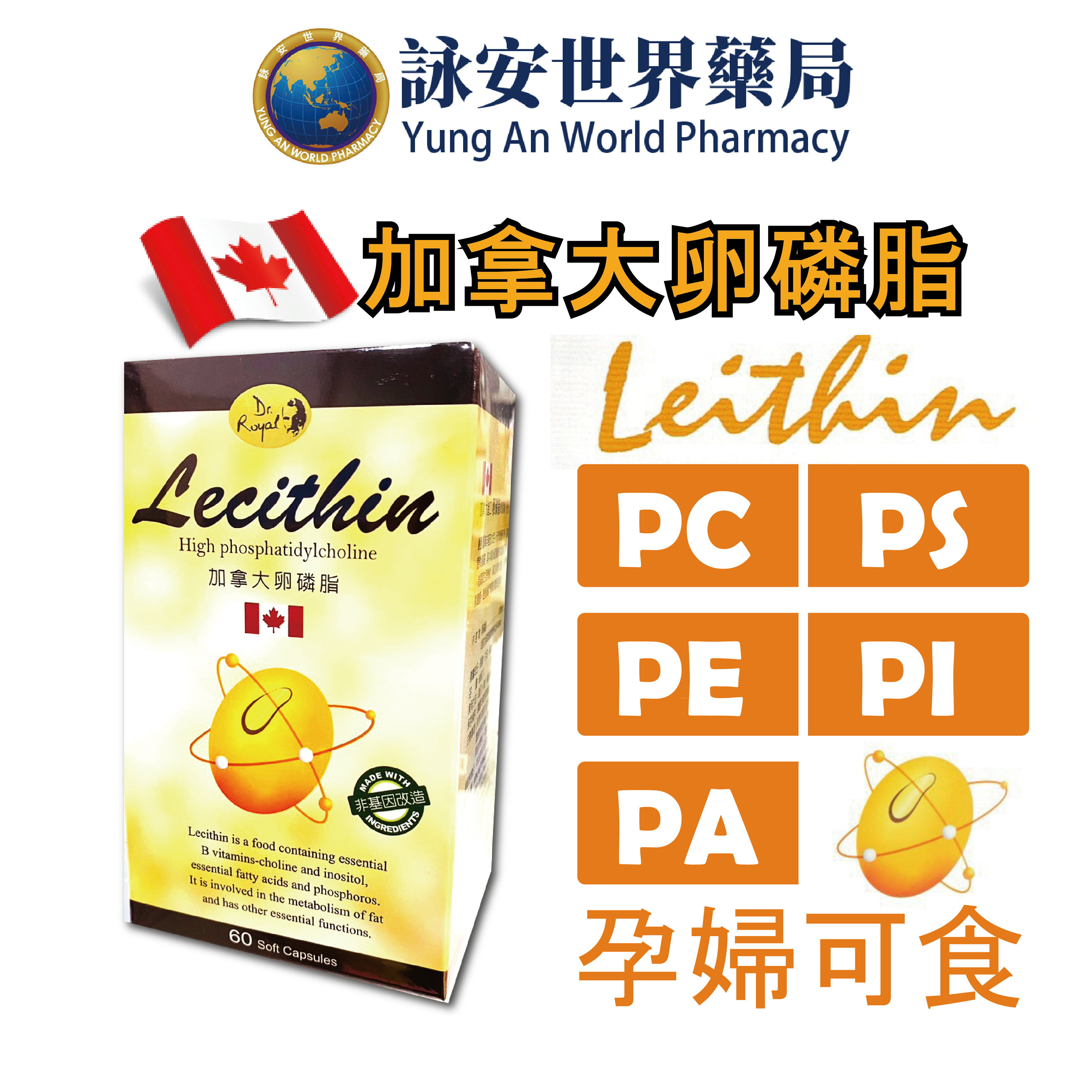 康心 加拿大卵磷脂 LECITHIN 軟膠囊 60粒/盒 【詠安世界商城】