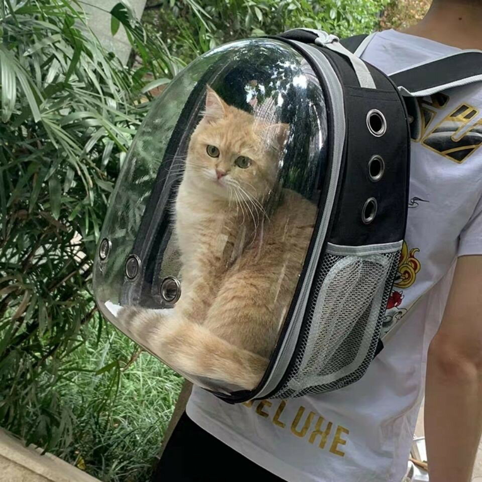 貓包狗狗寵物背包外出便攜太空寵物艙包雙肩包籠子背包裝貓咪狗狗背包用品書包 小山好物