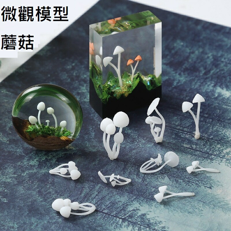【微觀模型-蘑菇】3D立體 蘑菇 模型 滴膠素材 水晶膠填充物