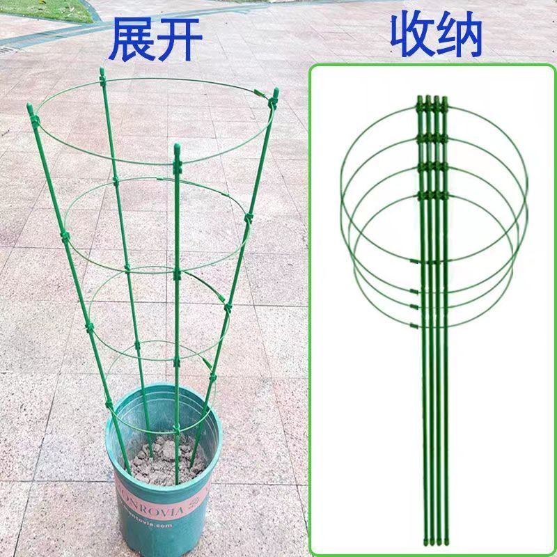 爬藤架子花支架月季花架室內花卉植物支撐桿綠蘿鐵線蓮攀爬架園藝