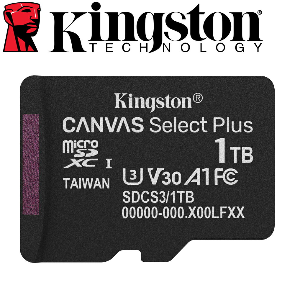 Kingston 金士頓 1TB microSDXC TF U3 V30 A1 記憶卡 SDCS3 1T