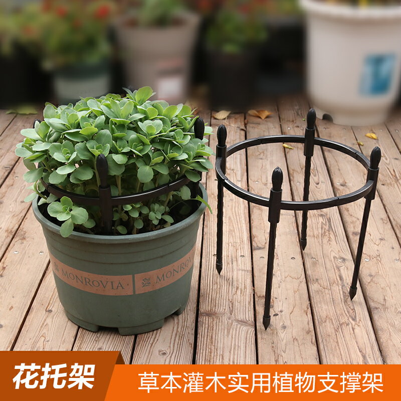 8mm支架矮植專用花架植物托架防倒爬藤架綠植花托花卉簡約花支架