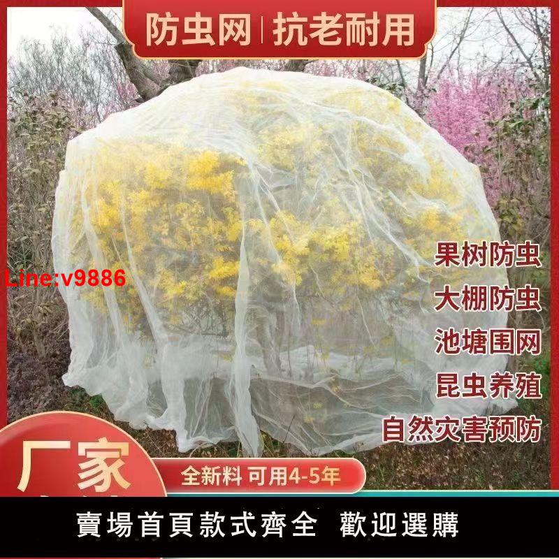 【臺灣公司 超低價】防蟲網罩紗網櫻桃楊梅藍莓蓮霧果樹防鳥防蚊蠅防汙染網套透氣透光