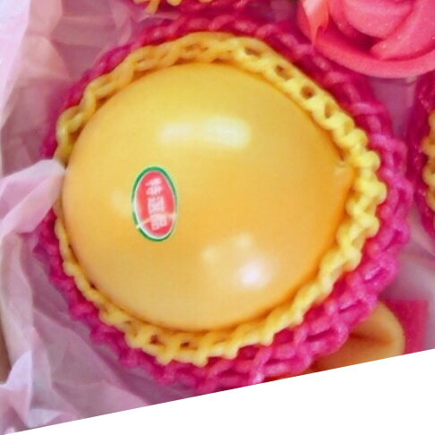 黃金果中大顆6入/8入/12入精緻禮盒附提袋/試嘗6箱/整箱買15入【入一般皇家果物】免運 1