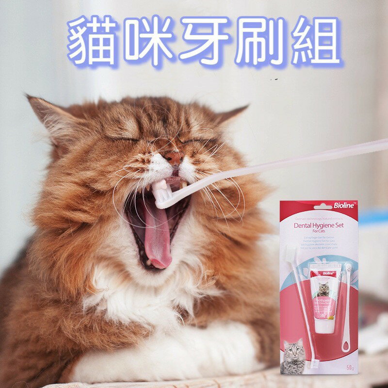 臺灣出貨 寵物牙刷組 貓用 雙頭牙刷 牙膏 口腔保健 除臭牙刷 貓