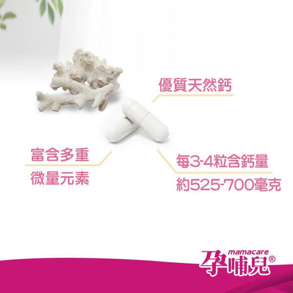 孕哺兒®新一代BP天然珊瑚鈣+D3膠囊 120粒★衛立兒生活館★4718667661002 2
