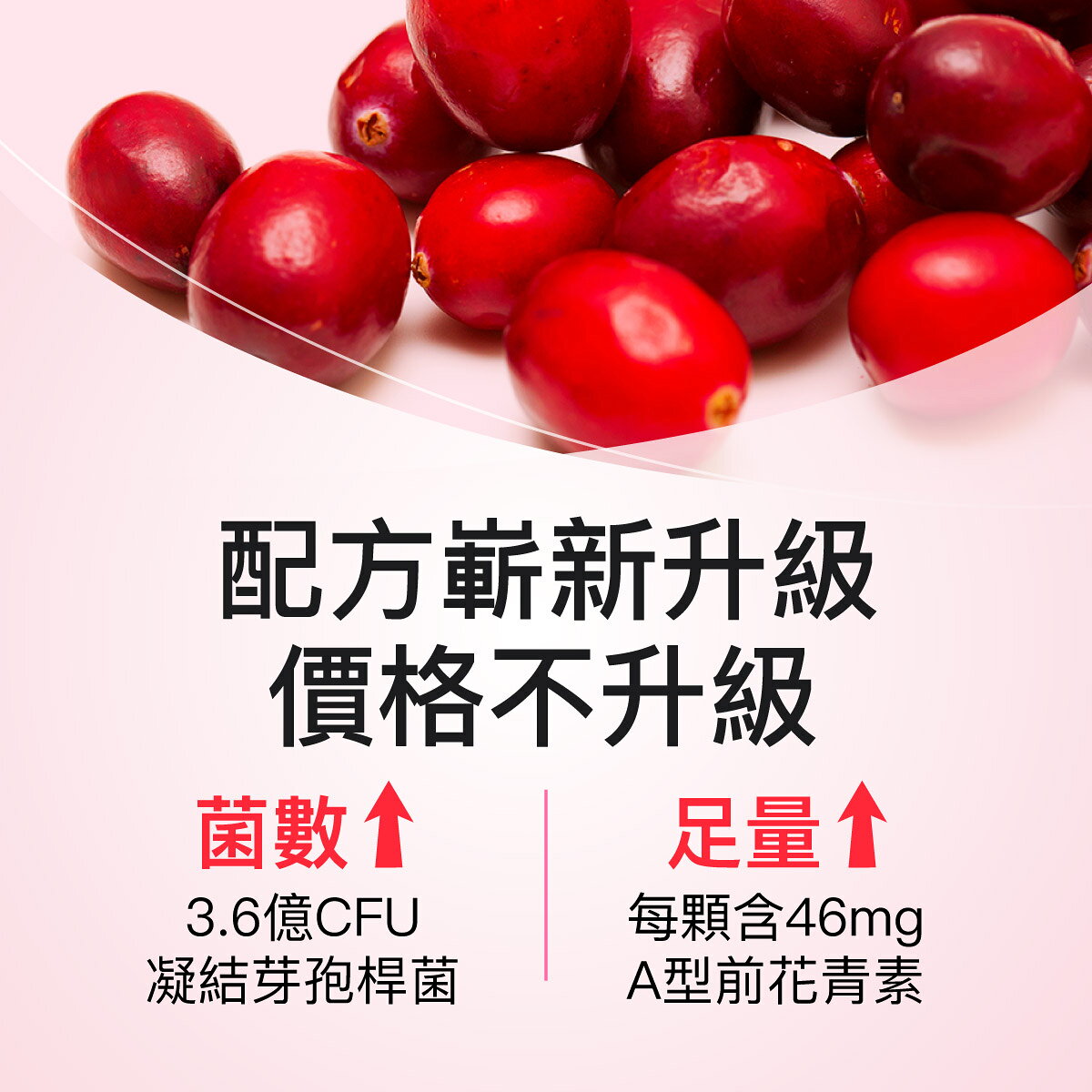 大醫生技 新一代緩釋型蔓越莓益生菌複方膠囊30顆【配方升級】【買2送1】私密保養 5