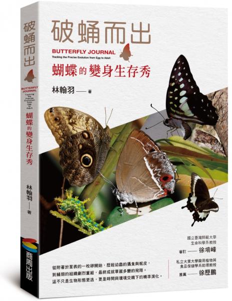 破蛹而出：蝴蝶的變身生存秀【城邦讀書花園】