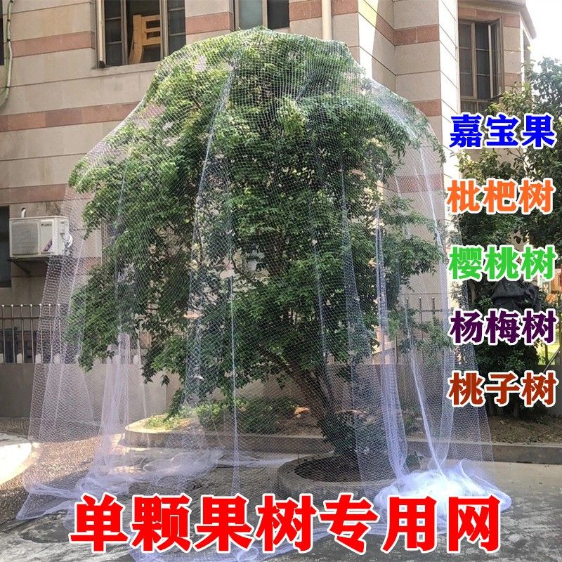 防鳥網 果樹網罩 新款果樹防鳥罩嘉寶果枇杷櫻桃藍莓果園尼龍防護網菜地陽臺保護罩