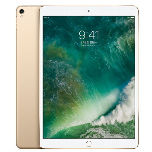 <br/><br/>  iPad Pro 10.5吋 512G Cell版MPMG2TA/A - 金【愛買】<br/><br/>