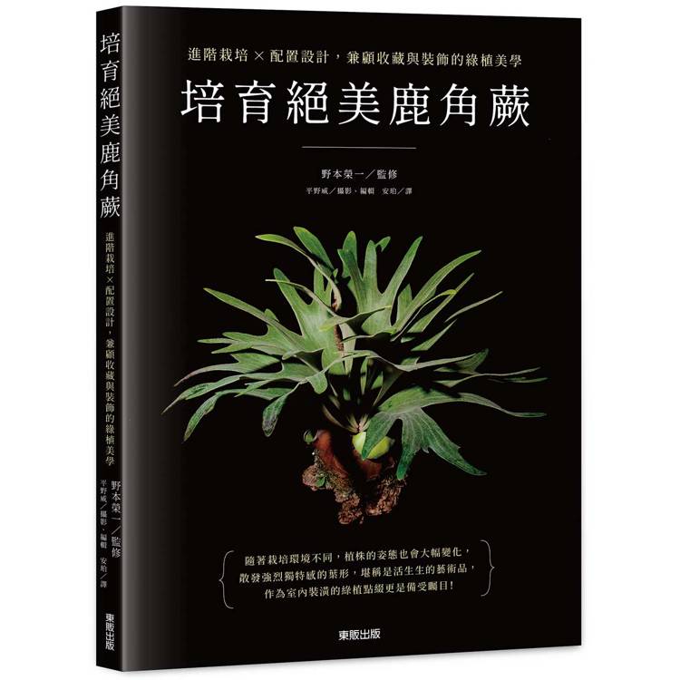 培育絕美鹿角蕨：進階栽培×配置設計，兼顧收藏與裝飾的綠植美學