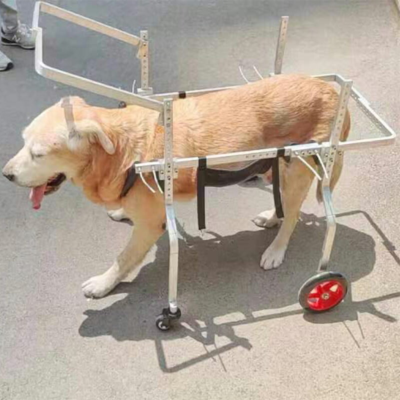 【超多款式咨詢客服】中大型狗輪椅推車金毛后肢殘疾無力寵物助力車薩摩康復訓練代步車 4