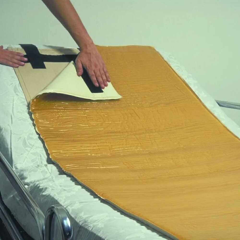 來而康 Action 艾克森 減壓床墊 (未滅菌) 6303H 全床床墊 含背膠 脂肪墊 減壓墊 坐臥 兩用 床墊