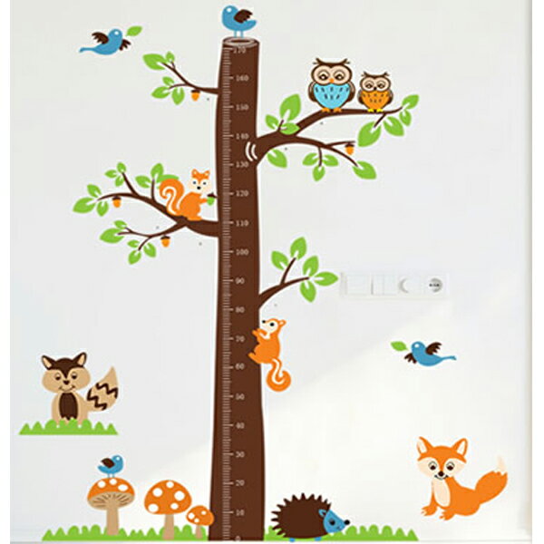 BO雜貨【YV0562-1】創意可重覆貼壁貼 室內佈置 幼兒園 兒童房 貓頭鷹松鼠動物樹木身高貼AY221