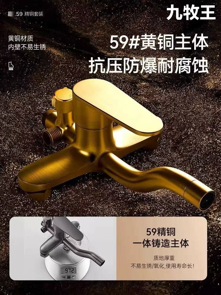 {可打統編 保固一年}全銅槍灰淋浴花灑套裝家用衛浴衛生間淋雨沐浴器浴室洗澡增壓噴頭 1