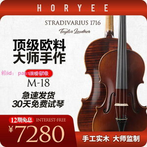 鴻鶯樂器小提琴高檔進口歐料純手工實木琴獨板花紋專業級演奏考級