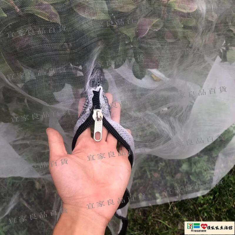 【宜家良品百貨】防鳥網 40目楊梅網罩蓮霧網果樹防鳥防蟲防果蠅網櫻桃樹羅幔大棚專用網