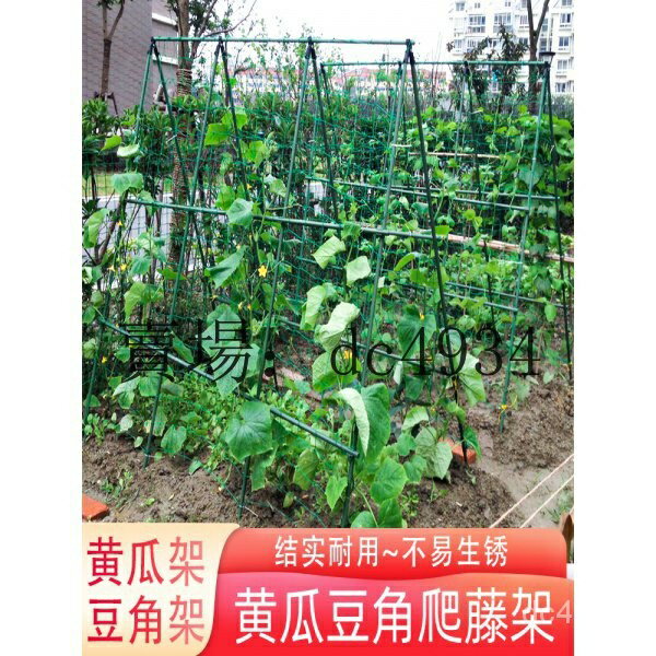 瓜架 花架 爬藤架 爬藤支架 花盆支架 支撐籬笆 黃瓜架 種菜爬藤架 豆角支架 陽臺庭院蔬菜固定架桿柱 園藝攀爬牽引桿