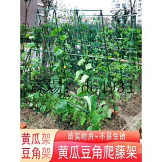瓜架 花架 爬藤架 爬藤支架 花盆支架 支撐籬笆 黃瓜架 種菜爬藤架 豆角支架 陽臺庭院蔬菜固定架桿柱 園藝攀爬牽引桿 | 千織屋 | 樂天 ...