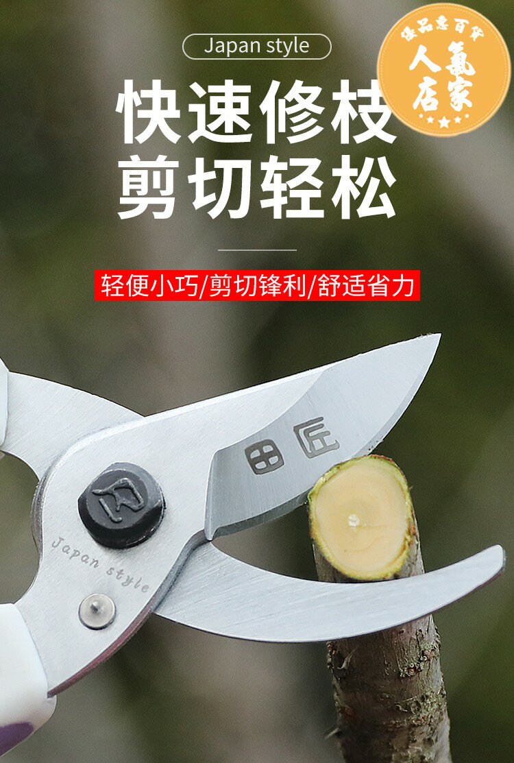 修枝剪(小) 日本田匠剪枝果樹修枝剪園藝修剪樹枝園林花藝師剪花專用剪刀神器 | 優品惠百貨 | 樂天市場Rakuten