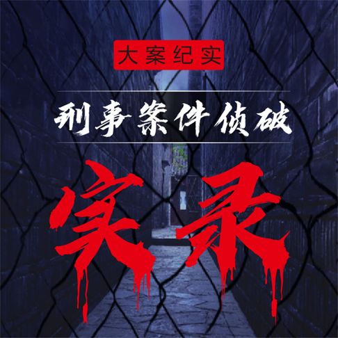 【有聲書】大案纪实之刑事案件侦破实录2 0