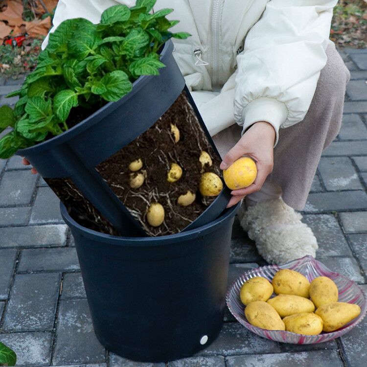 花架 土豆種植盆生薑蔬菜種植塑膠花盆盆栽家庭陽臺庭院種植加厚優質『XY25793』
