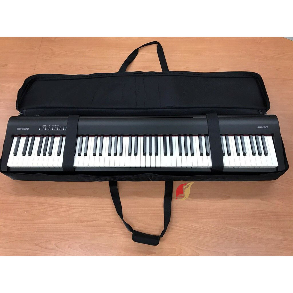 88鍵 台製 琴袋 適合Yamaha P45 P115 P125 Roland FP30 [亞斯頓鍵盤樂器]