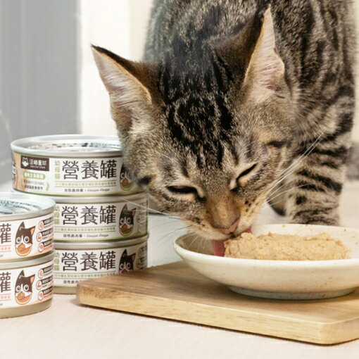 汪喵星球 幼母貓98%營養無膠主食罐 貓罐頭 毛掌櫃 maoookeeper