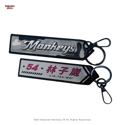 【隨機出貨】ARMY-13球員飄帶(24款)