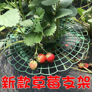 【珍愛頌】N428 新款帶花邊 草莓支架 草莓托盤 草莓架 草莓立體支架 草莓墊高架 草莓離地架 水果支架 陽台種植架