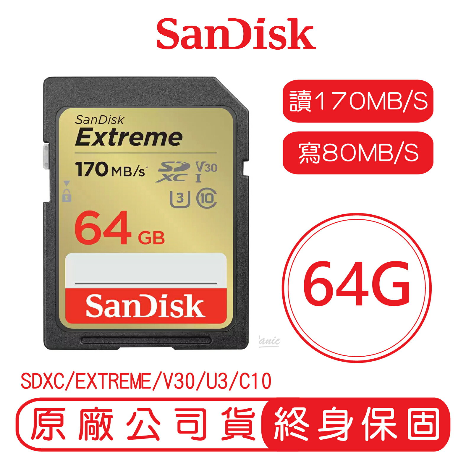 【最高22%點數】SanDisk 64GB EXTREME SD C10 U3 V30 記憶卡 讀170MB 寫80MB 64G SDXC【限定樂天APP下單】