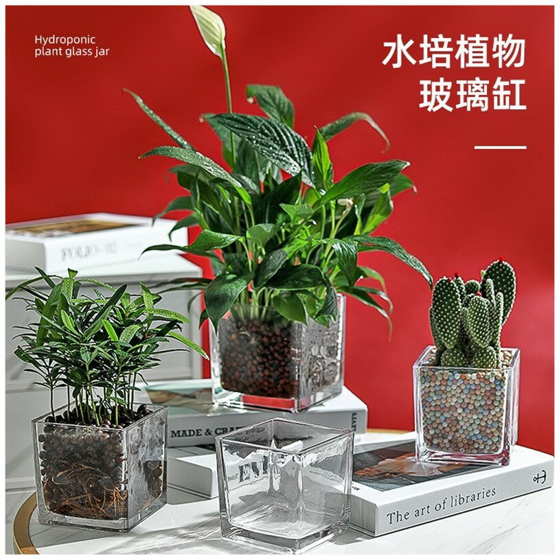 簡約水培花盆正方形玻璃花瓶透明綠蘿水養植物器皿烏龜缸擺件插花