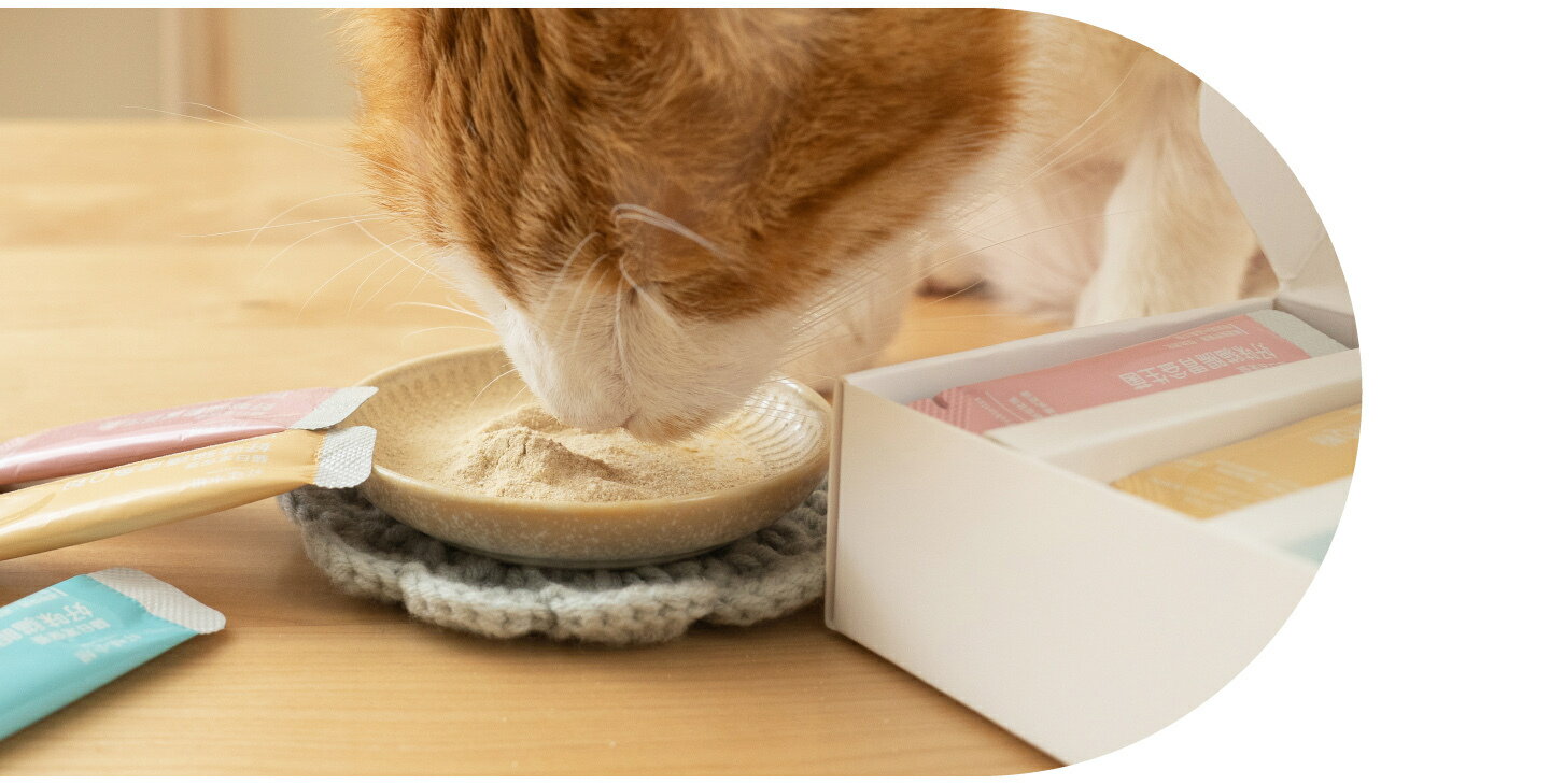 好味小姐 貓日常保養系列 好味益生菌 好味小姐益生菌 貓眼鼻益生菌 護膚魚Q粉 好味腸胃益生菌【23030133】 1