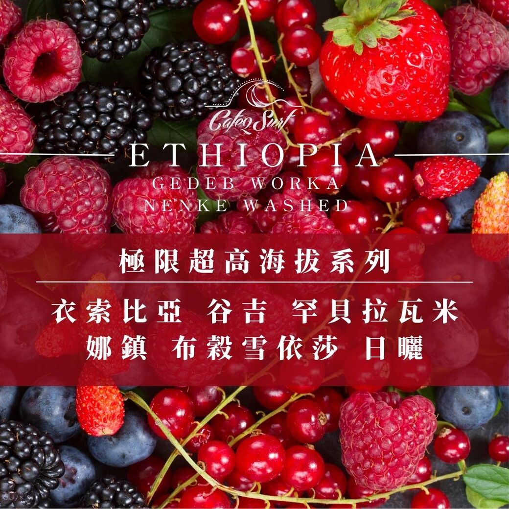 淺烘焙︱《極限超高海拔系列》衣索比亞 谷吉 罕貝拉瓦米娜鎮 布穀雪依莎 日曬 ﹙半磅裝﹚︱淺烘焙