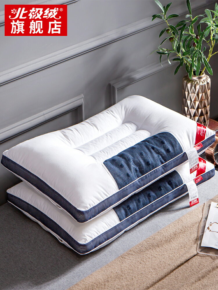 北極絨全棉決明子枕頭枕芯蕎麥皮成人枕單雙人整頭枕頭一對裝家用