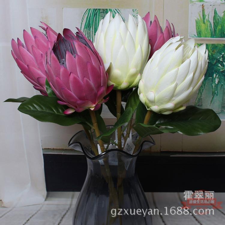 歐麗菲 模擬帝王花 室內家居客廳裝飾 花藝櫥窗擺件 攝影熱帶植物
