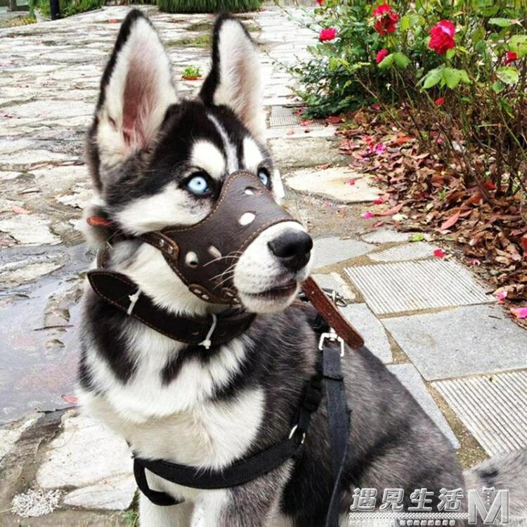 狗狗嘴套狗口罩防咬防叫哈士奇小中大型犬防亂吃寵物狗罩狗套嘴罩 99購物節