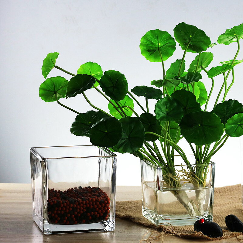 正方形水培玻璃器皿透明方缸綠蘿睡蓮銅錢草水培花盆玻璃花瓶