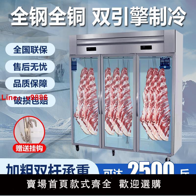 【臺灣公司 可開發票】寒冰掛肉櫃商用冷藏保鮮櫃吊肉櫃掛牛羊豬肉立式冷凍櫃排酸展示櫃