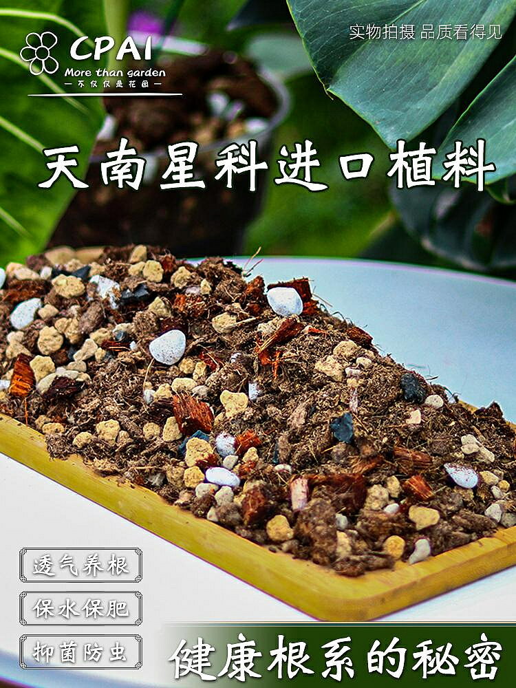 天南星科專用土龜背竹營養土秋海棠蔓綠絨花燭海芋進口泥炭熱植土