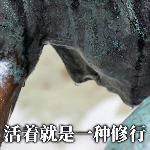 【有聲書】活着就是一种修行 0