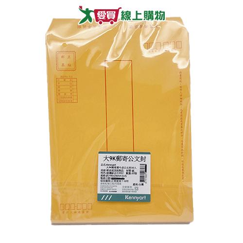 Kennyart 大9K郵寄牛公文封20入 牛皮紙袋 信封袋【愛買】
