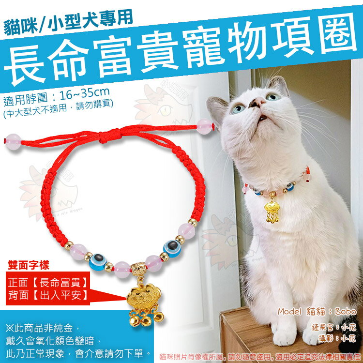 【過年必備】 貓咪 長命富貴 項圈 鈴鐺 造型 寵物 長命鎖 小型犬可用 臘腸 貴賓 項圈 過年 新年 喜慶 出入平安