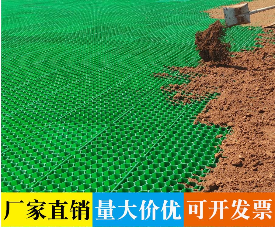 塑膠綠化植草格停車場抗壓草坪格消防通道小區園林道路綠化植草磚