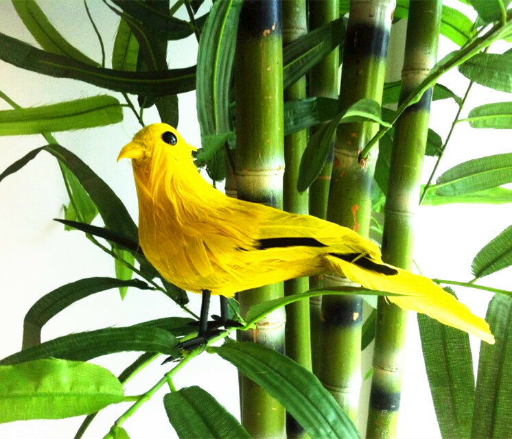 定做動物模型 仿真鳥 喜鵲彩色鳥 羽毛小鳥場景裝飾攝影教科道具