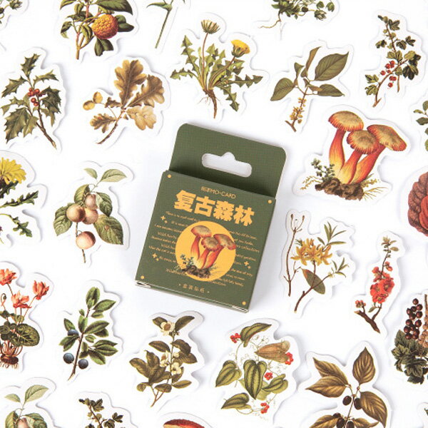 復古森林盒裝貼紙(46入)【BlueCat】【JC4127】