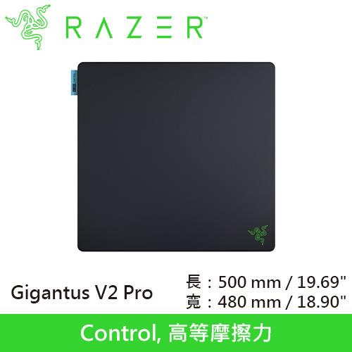 Razer 雷蛇 Gigantus V2 Pro Control 巨甲蟲 滑鼠墊 L