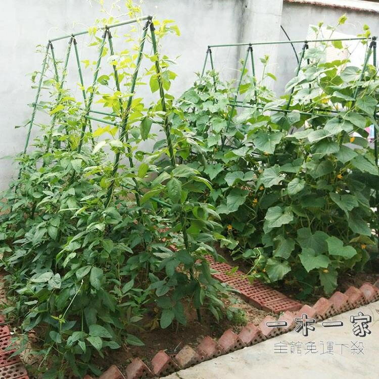 爬藤花架 爬藤架種菜架子園藝花架花園陽臺花爬架植物豆角黃瓜架葡萄架戶外